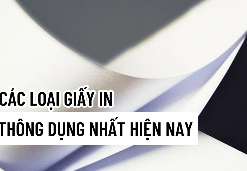 [Chia sẻ] 10 Các loại giấy in ấn thông dụng nhất hiện nay