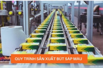 Các bước trong quy trình sản xuất bút sáp màu ít ai biết