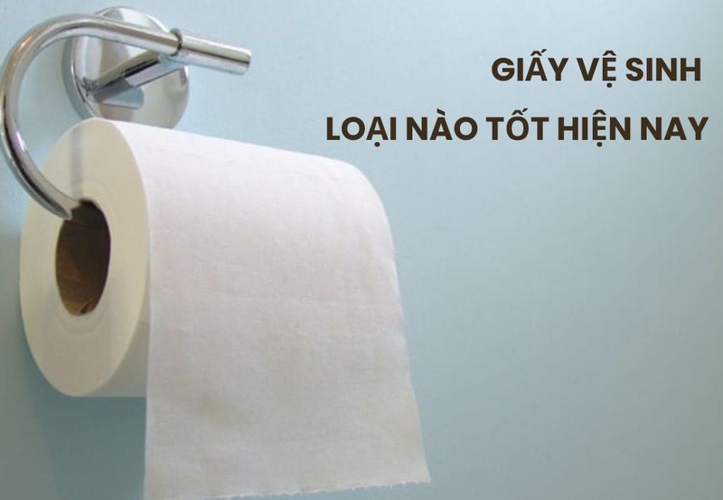 Hỏi giấy vệ sinh loại nào tốt hiện nay?