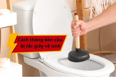Cách thông bồn cầu bị tắc giấy vệ sinh
