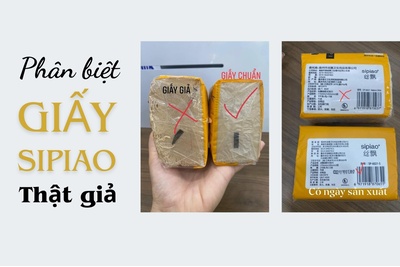 Cách phân biệt giấy Sipiao thật giả dễ và chuẩn nhất