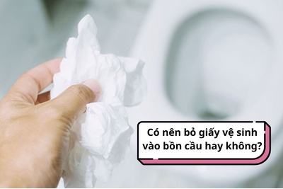 Có nên bỏ giấy vệ sinh vào bồn cầu hay không?