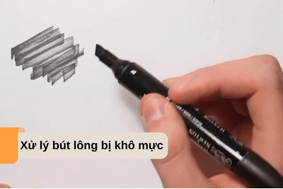 Cách xử lý bút lông bị khô mực đơn giản nhanh chóng
