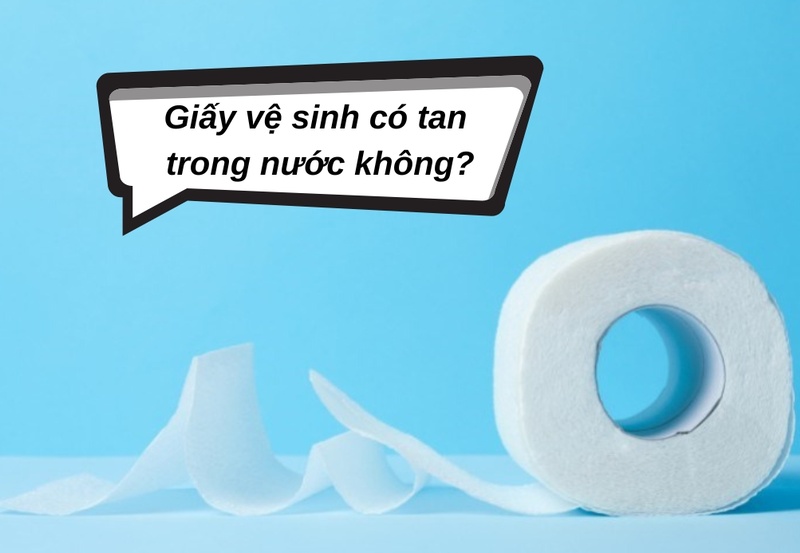 Giấy vệ sinh có tan trong nước không? nên mua loại nào