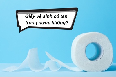 Giấy vệ sinh có tan trong nước không? nên mua loại nào