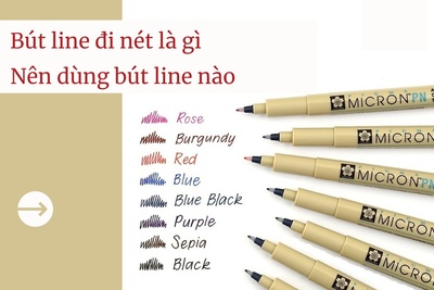 Bút line đi nét là gì? Nên dùng bút line nào?