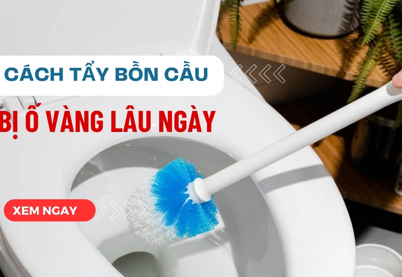 9 Cách tẩy bồn cầu bị ố vàng lâu ngày sạch bóng như mới