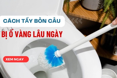 9 Cách tẩy bồn cầu bị ố vàng lâu ngày sạch bóng như mới