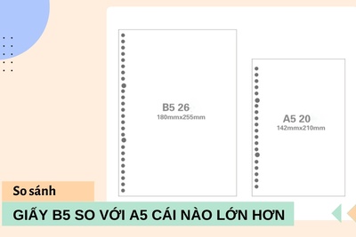 Giấy B5 so với A5 cái nào lớn hơn?