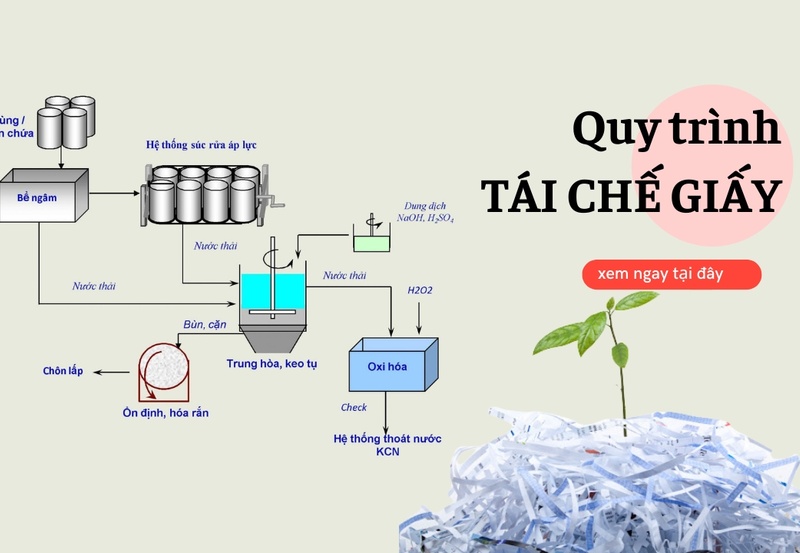 Quy trình tái chế giấy có thể bạn chưa biết