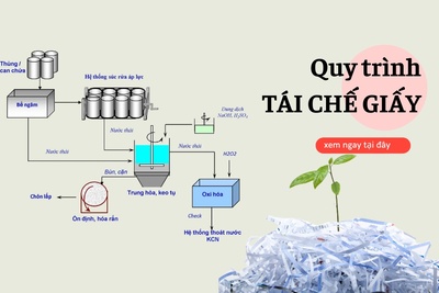 Quy trình tái chế giấy có thể bạn chưa biết