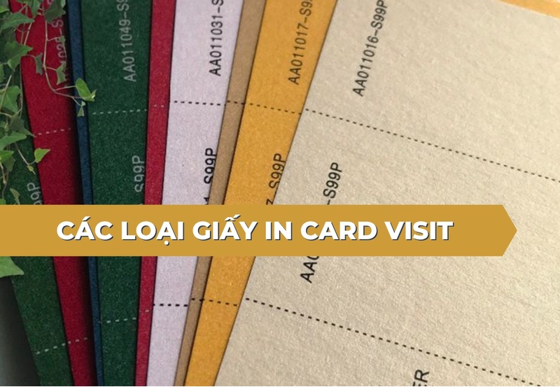 Tổng hợp các loại giấy in card visit phổ biến hiện nay