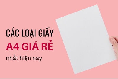 Top 7 loại giấy a4 giá rẻ nhất hiện nay