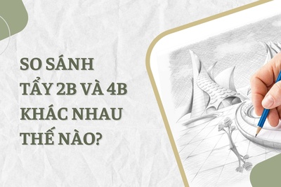 So sánh tẩy 2b và 4b khác nhau như thế nào?