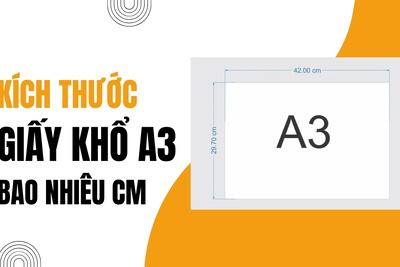 Kích thước giấy khổ A3 bao nhiêu cm?