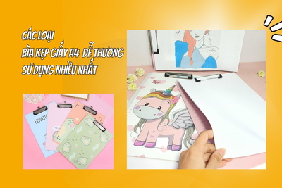 Các loại bìa kẹp giấy A4 dễ thương sử dụng nhiều nhất