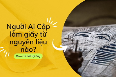 Người Ai Cập làm giấy từ nguyên liệu nào?