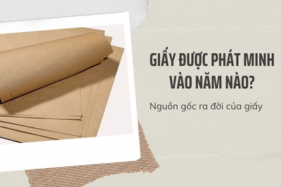Giấy được phát minh vào năm nào? Nguồn gốc ra đời của giấy
