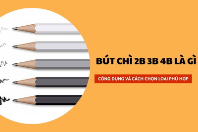 Bút chì 2b 3b 4b là gì ? Công dụng và cách chọn loại phù hợp