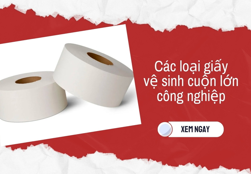 Các loại giấy vệ sinh cuộn lớn công nghiệp thông dụng nhất