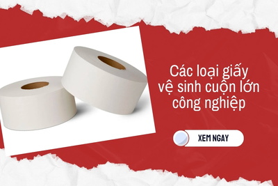 Các loại giấy vệ sinh cuộn lớn công nghiệp thông dụng nhất