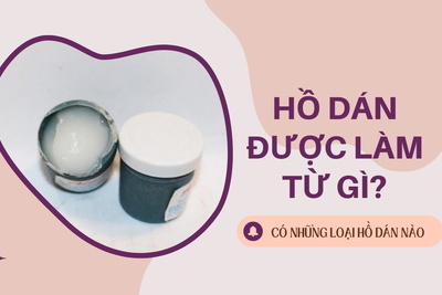 Hồ dán được làm từ gì? Có những loại hồ dán nào