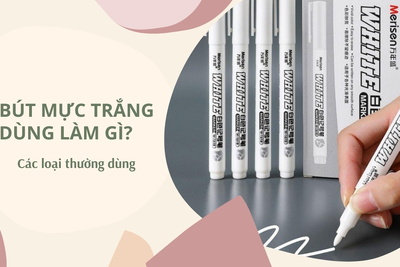 Bút mực trắng dùng làm gì? Các loại thường dùng