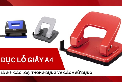 Đục lỗ giấy A4 là gì? Các loại thông dụng và cách sử dụng