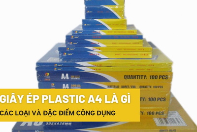 Giấy ép Plastic A4 là gì? Các loại và đặc điểm công dụng