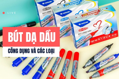 Bút dạ dầu là gì? Công dụng và các loại thông dụng nhất