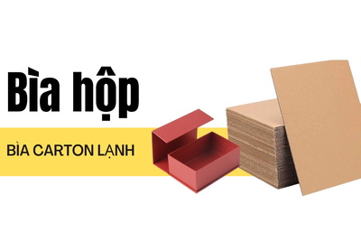 Bìa hộp là gì? Các mẫu bìa carton lạnh đựng hồ sơ đẹp nhất