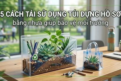 5 cách tái sử dụng túi đựng hồ sơ bằng nhựa giúp bảo vệ môi trường