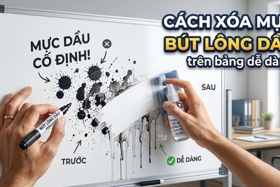 Cách xóa mực bút lông dầu trên bảng dễ dàng