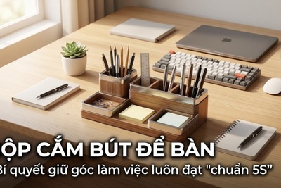 Hộp cắm bút để bàn: Bí quyết giữ góc làm việc luôn đạt chuẩn 5S