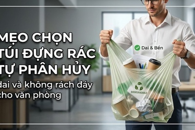 Mẹo chọn túi đựng rác tự phân hủy, dai và không rách đáy cho văn phòng