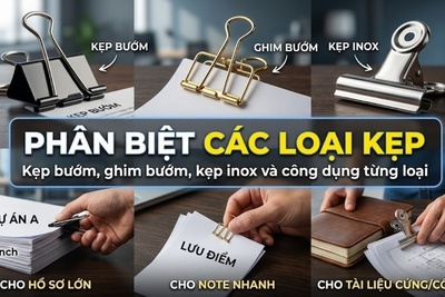 Phân biệt Kẹp bướm, ghim bướm, kẹp inox và công dụng từng loại