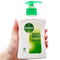 Nước rửa tay Dettol 250ml