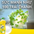 Nước Rửa Chén Sunlight 750ml