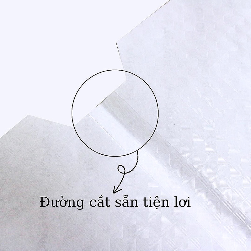 Bọc vở decal Hồng Hà 3560