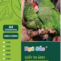 Giấy in ảnh 1 mặt bóng A4 135g