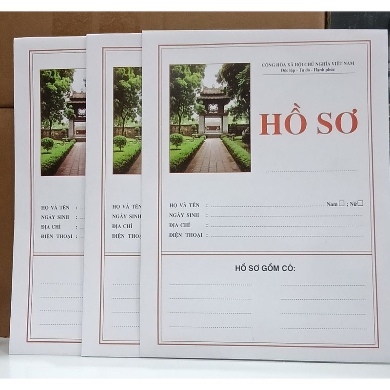 Hồ sơ xin việc không ruột