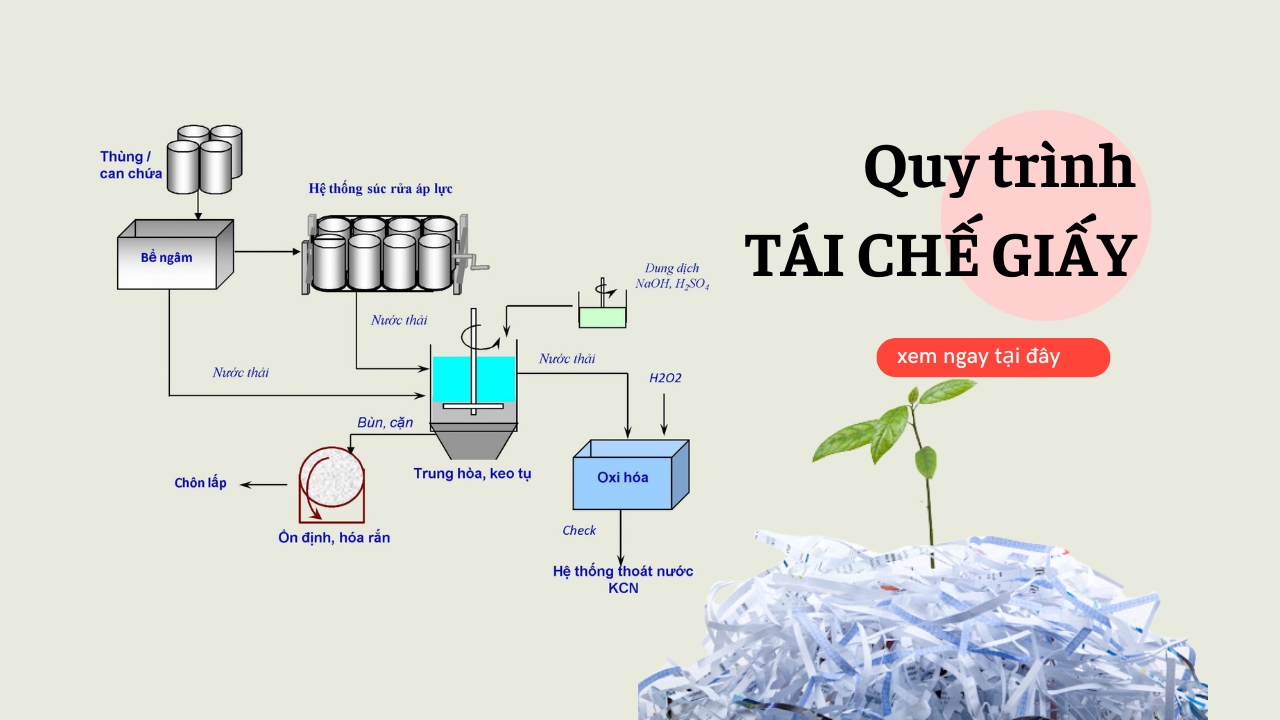 Quy trình tái chế giấy có thể bạn chưa biết