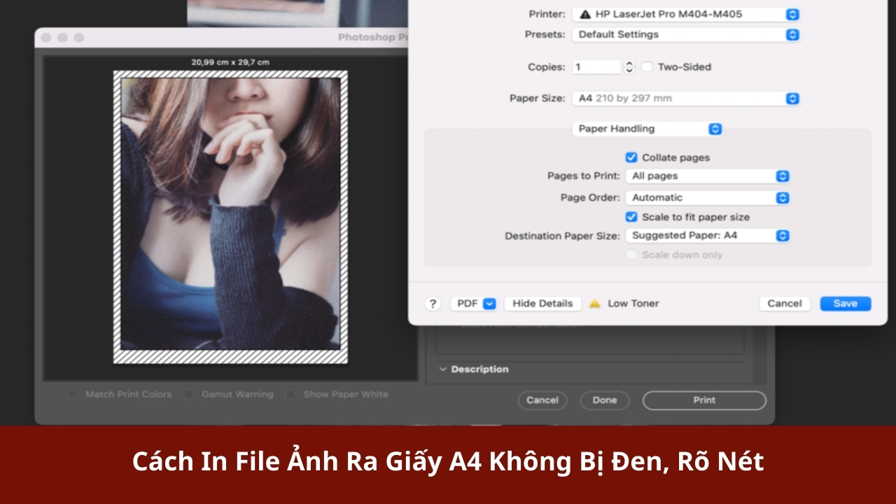 Cách in file ảnh ra giấy A4 không bị đen, rõ nét