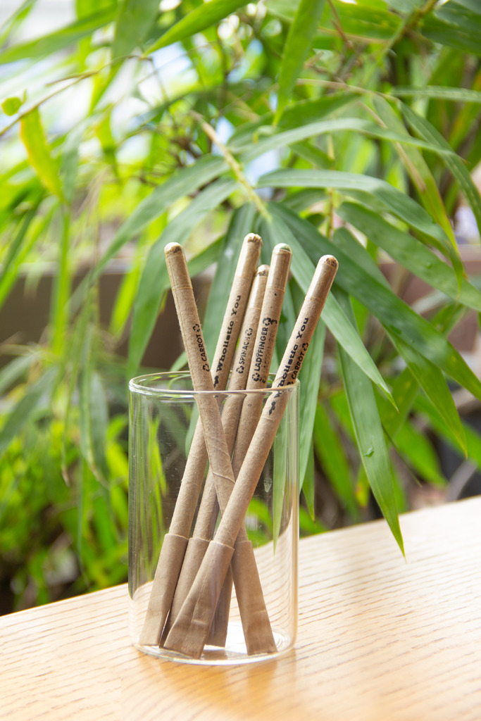 Bút thân tre thân thiện môi trường