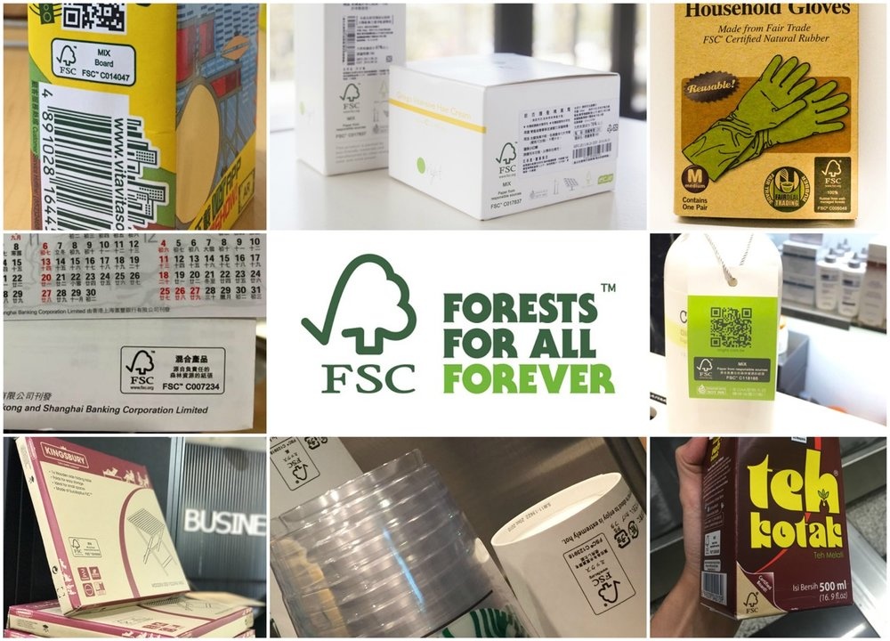 Các sản phẩm giấy in, bìa, cốc giấy, văn phòng phẩm,... được chứng nhận FSC đã xử lý bụi giấy 