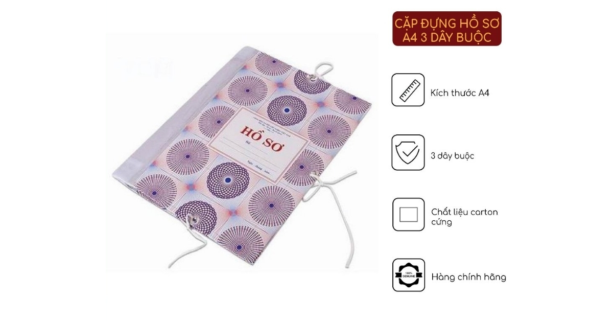 Hồ sơ xin việc được sắp xếp gọn gàng trong file hồ sơ khổ A4
