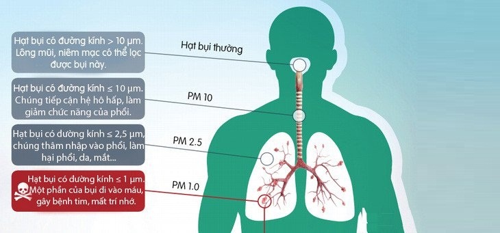 Các hạt bụi máy in có thể tác động trực tiếp đến hệ hô hấp